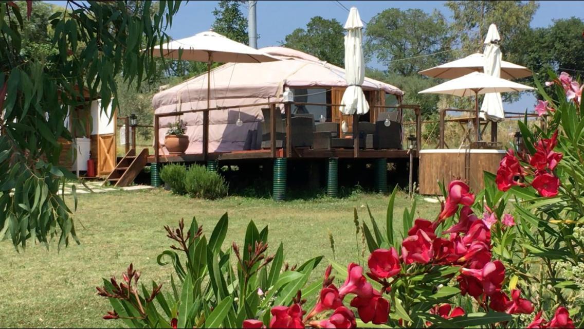 Готель Glamping Abruzzo - The Yurt Catignano Екстер'єр фото